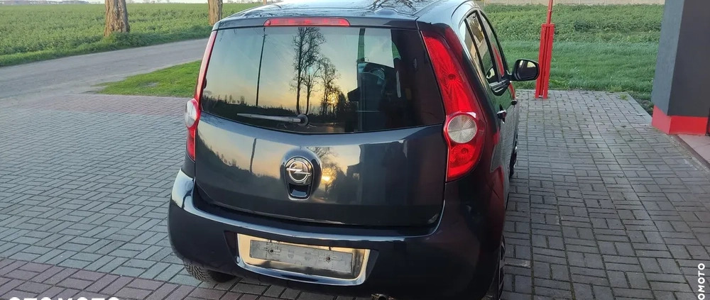 Opel Agila cena 10990 przebieg: 200000, rok produkcji 2009 z Kruszwica małe 232